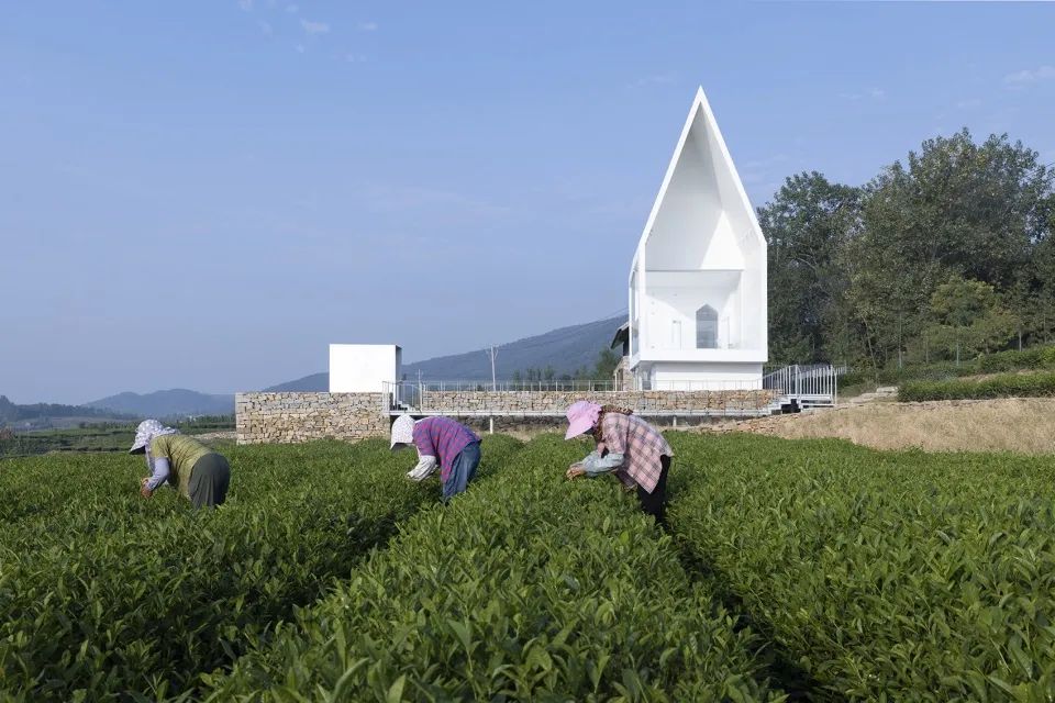 乡村网红民宿装修风格,乡村网红民宿改造清单