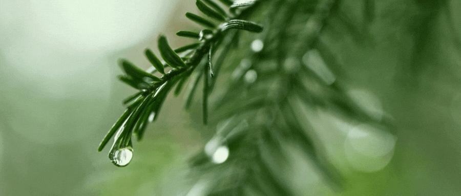 整理格力电器的渠道管理策略案例,对格力电器财务分析的总结