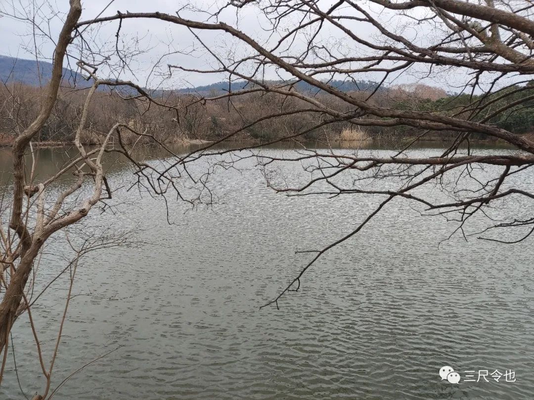 消费者诉讼维权小知识,生活中的四种消费者维权
