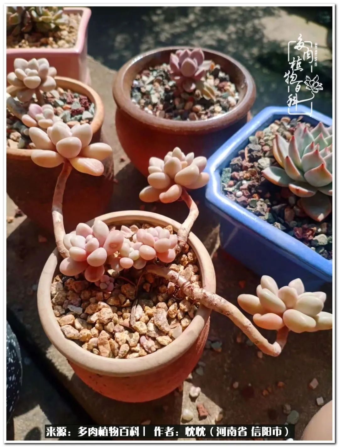 携一人白首择一城终老心之向往,携一人之手择一城终老图片