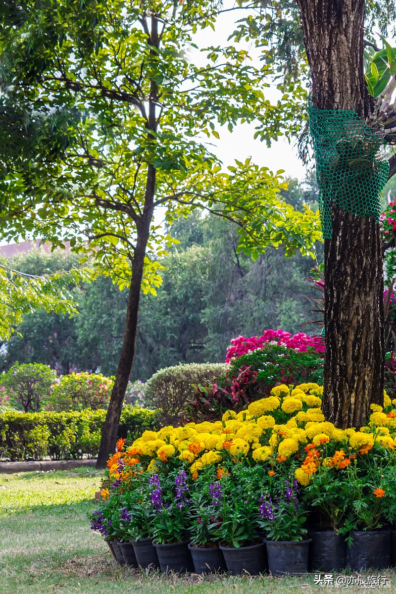 福州周边秋天有什么好去处,福州周边游玩景点推荐秋季攻略