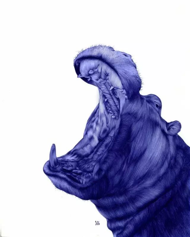 圆珠笔作画简单,2块钱圆珠笔