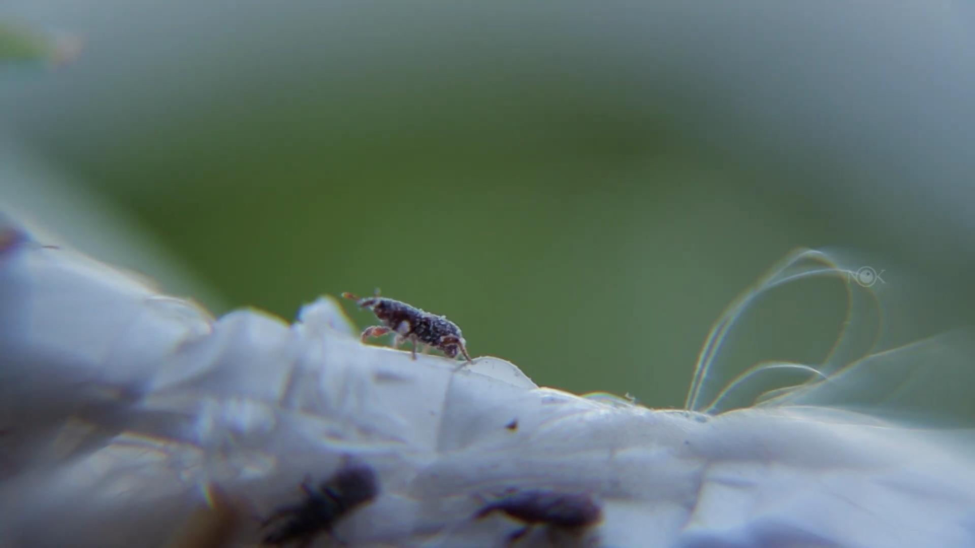 刚买完的大米放进米盒还是生虫,十几袋大米怎么防止生虫