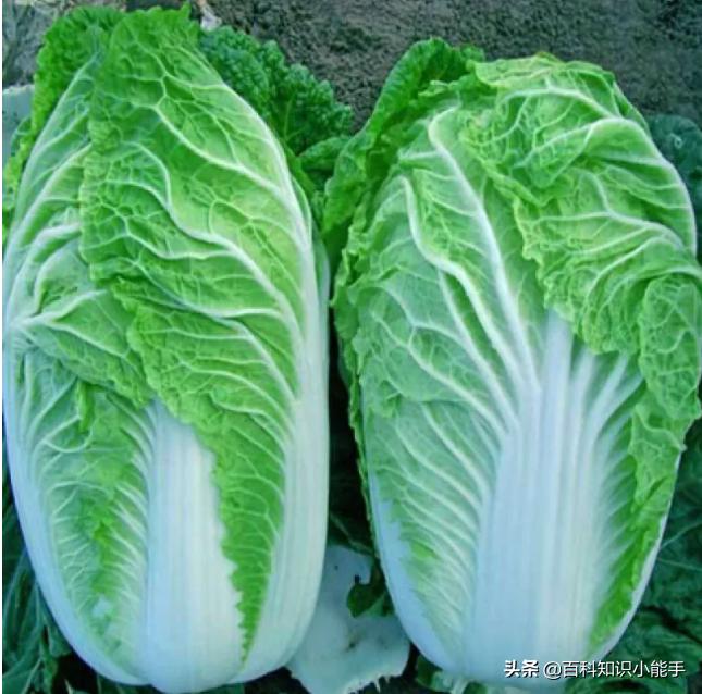 外国人眼中最贵的中国食物，辣条西瓜竟上榜？