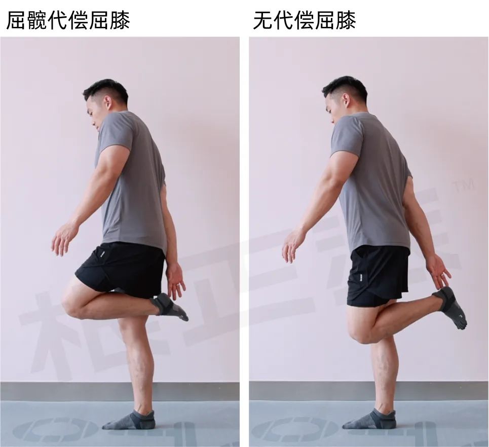 刘畊宏毽子操有效果吗,刘畊宏的毽子操锻炼的部位