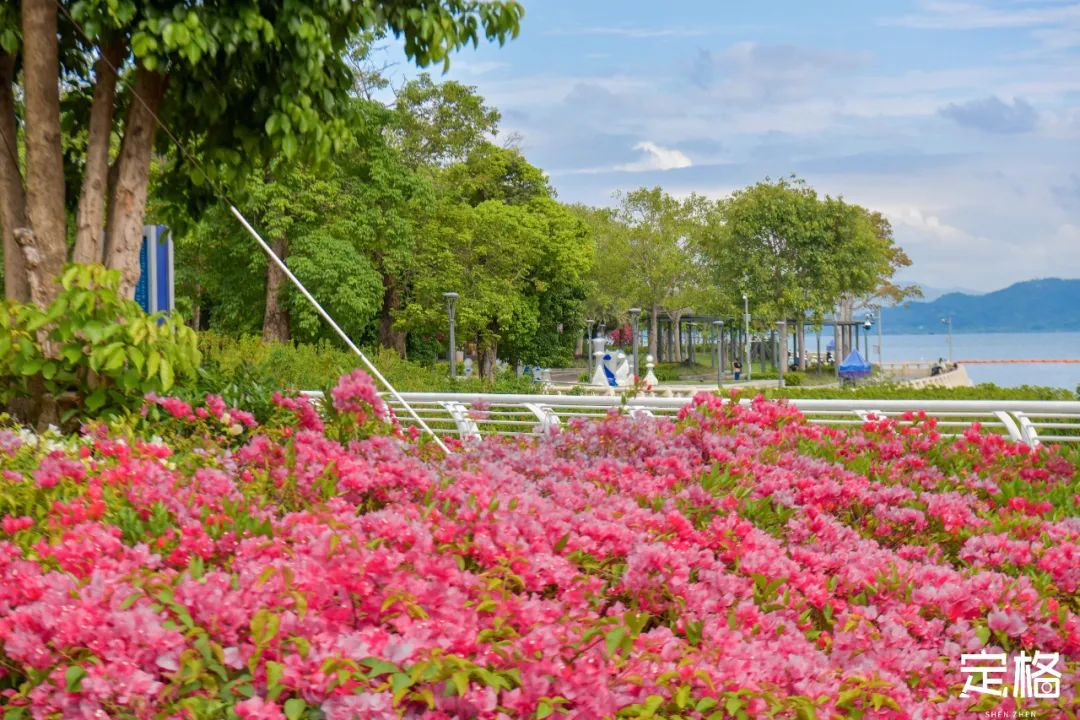 深圳周末休闲放松的好地方有哪些,周末去哪玩深圳推荐几个地方