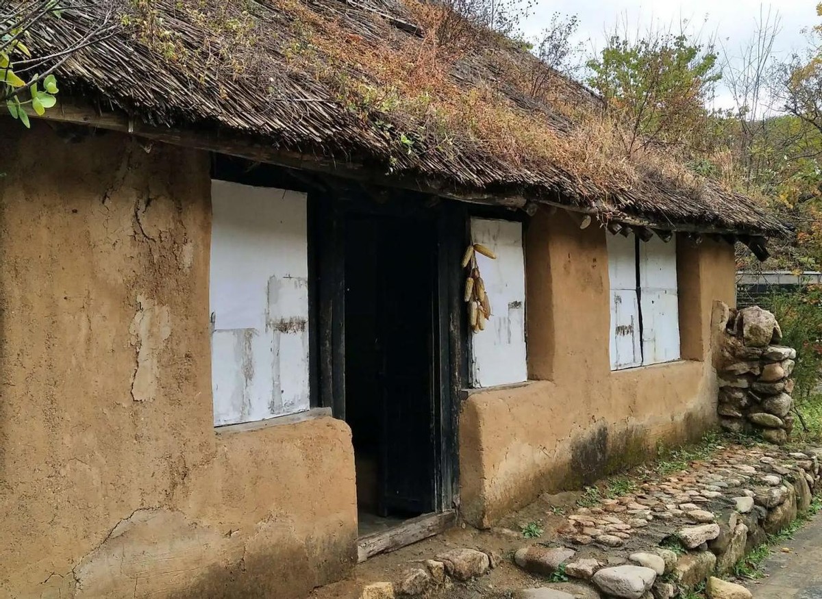 付广荣帮助重刑犯,付广荣教母