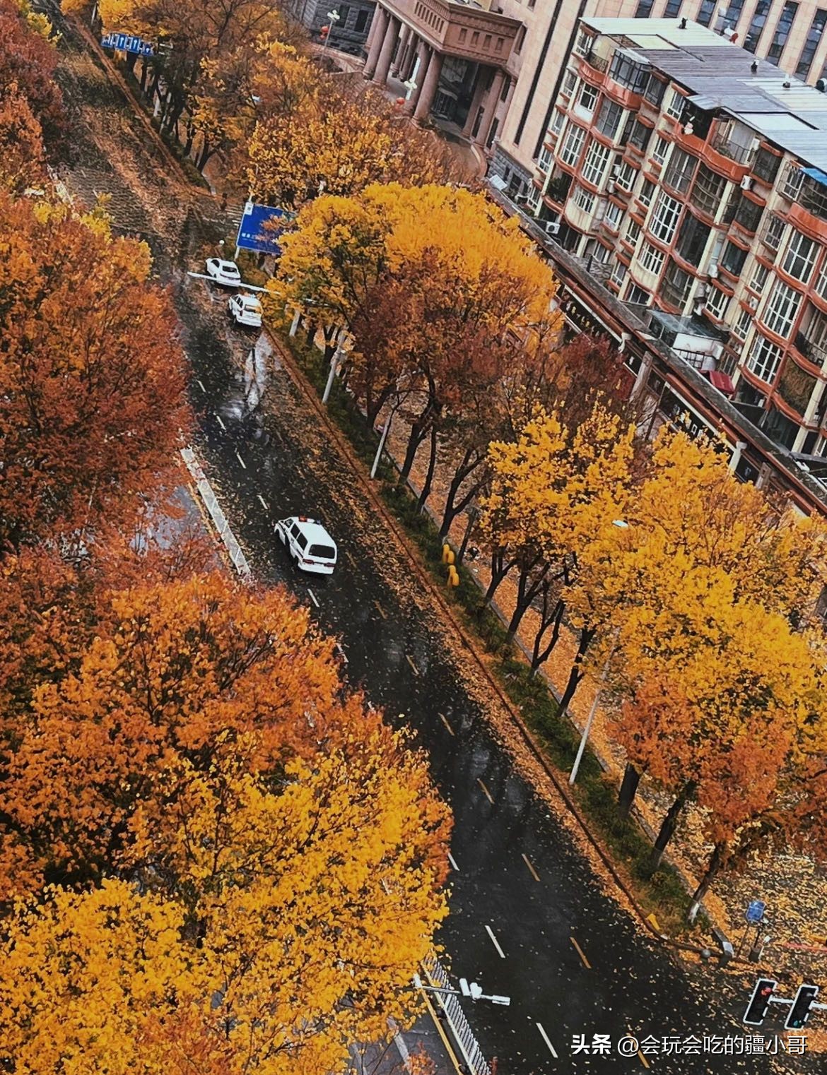 我在他乡挺好的07预告,我在他乡挺好的01花絮