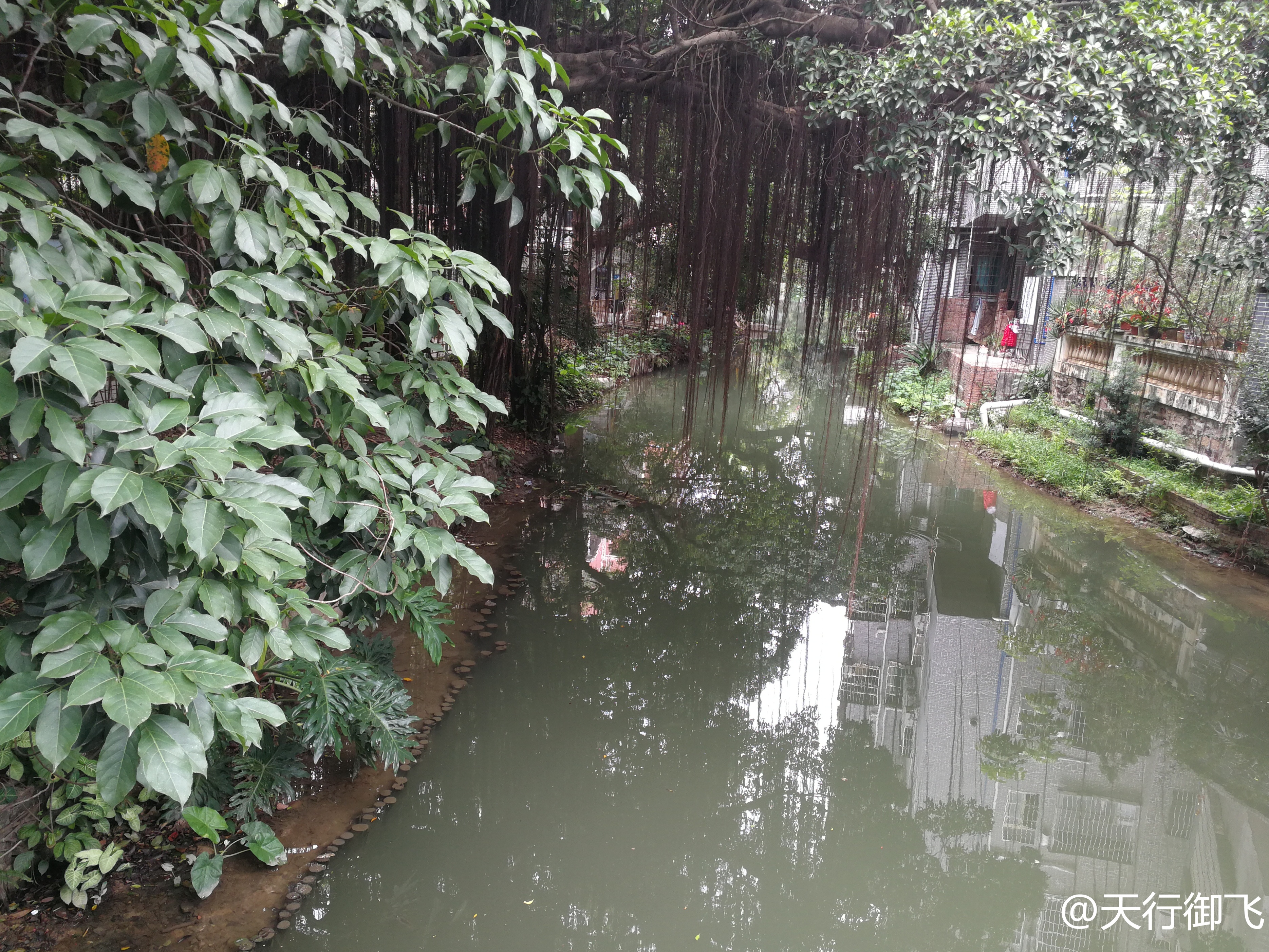 小洲村旅游景点地图,小洲村一日游最佳攻略