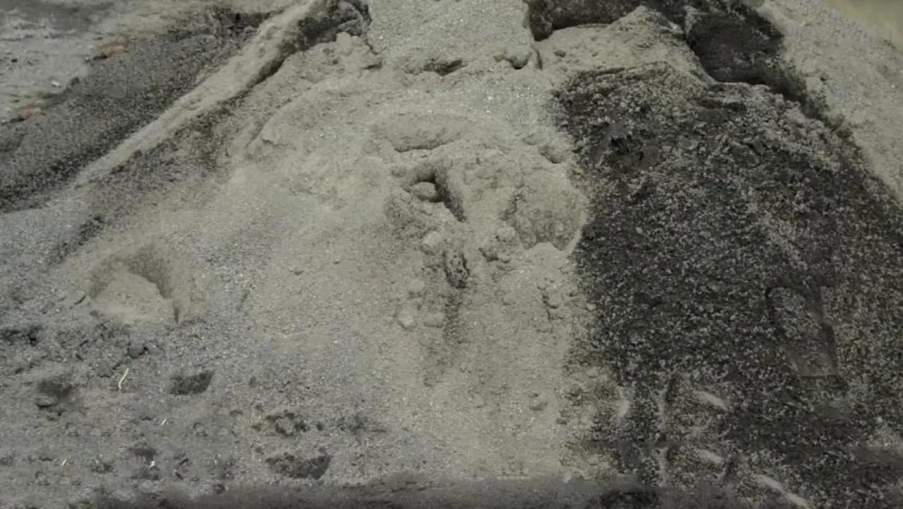 姐姐梦到弟弟被害，“奇怪梦境”提供线索助警方找到藏尸地点