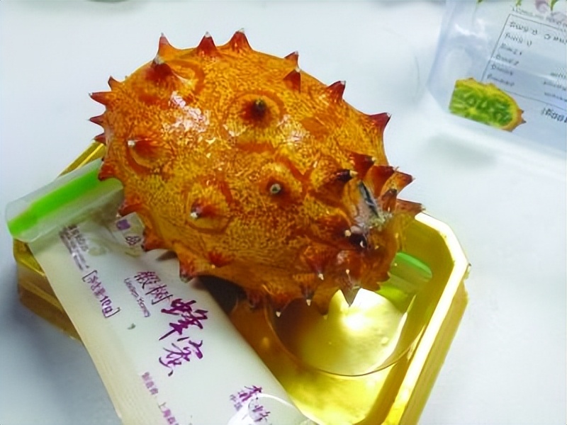 火参果，黄瓜的非洲“亲戚”，吸引眼球却没有征服消费者的味蕾