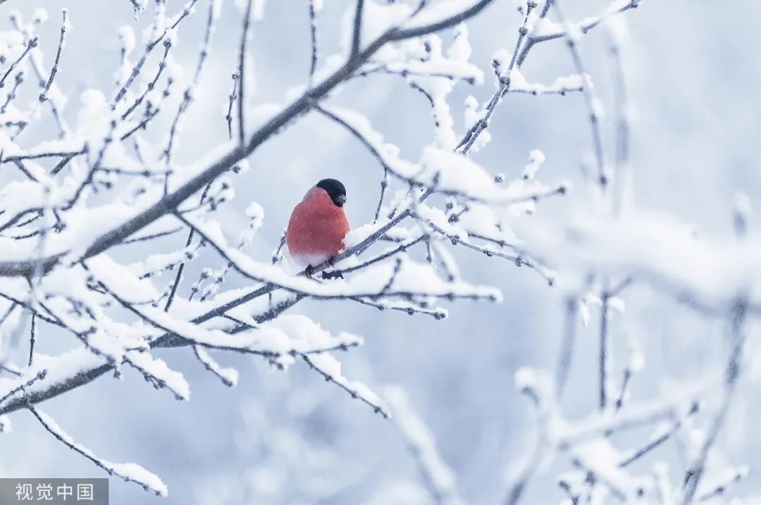 雪的雅称有哪些 (古代对雪的30种雅称)