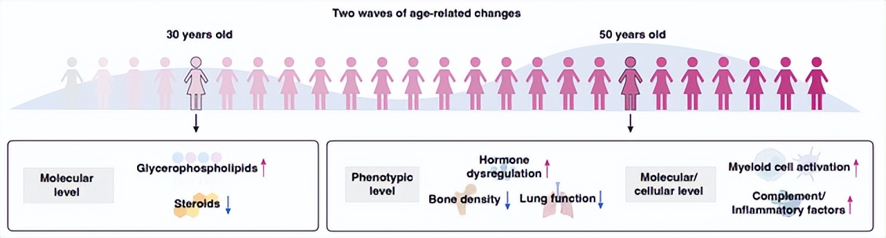 女性25岁断崖式衰老的原因,35岁女人断崖衰老怎么补救