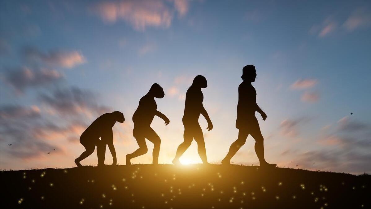 每个人都有处女膜？女性第一次夫妻生活一定会出血？告诉你答案