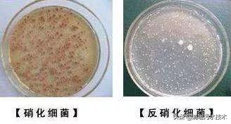 污水池降温措施,污水生化池怎么降温的