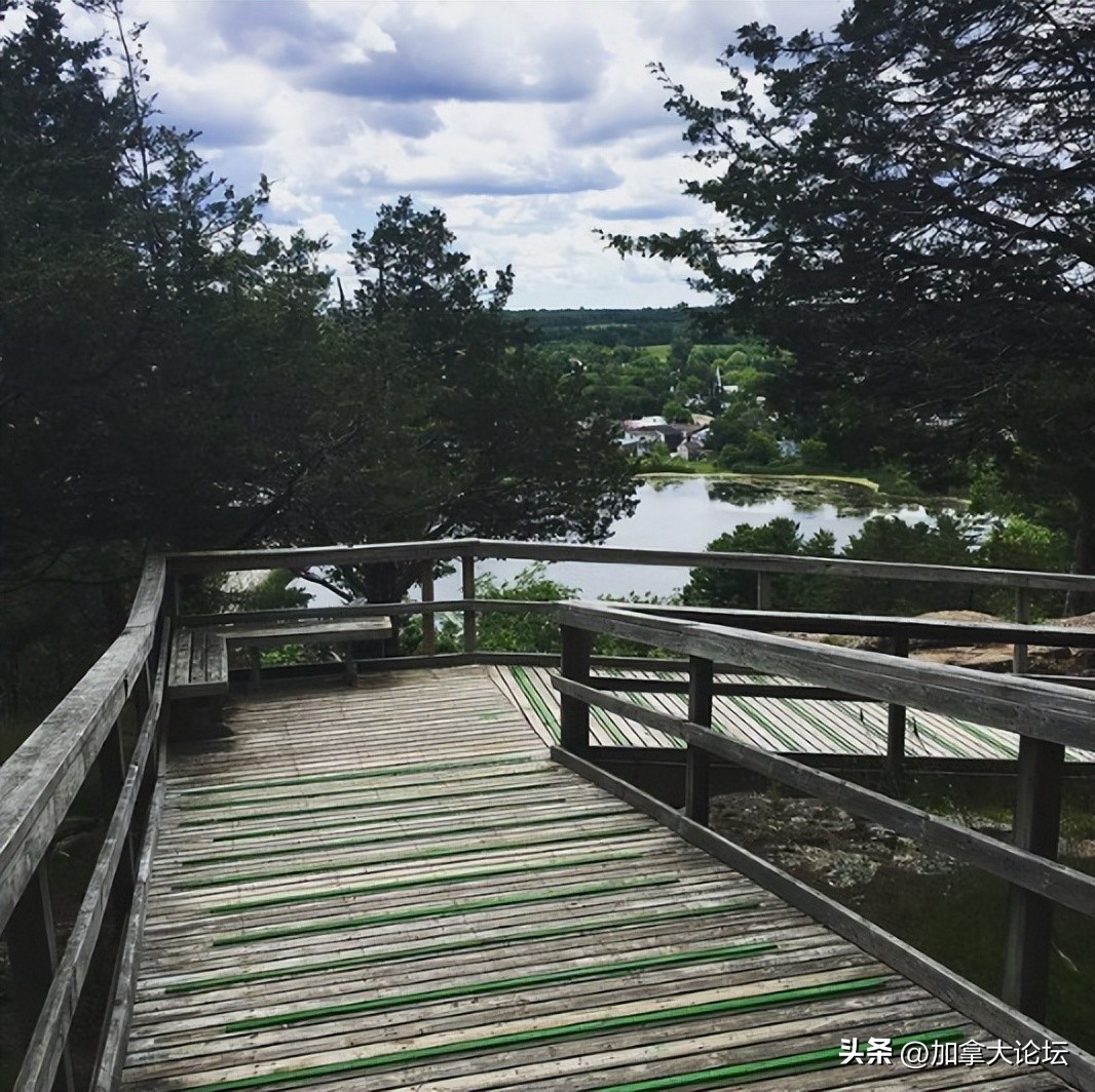 多伦多最近的风景 (多伦多这个季节看枫叶去哪里)