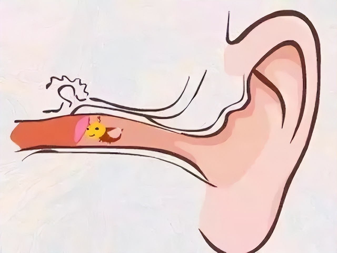 耳朵痒却掏不出任何东西中医辨证,耳朵特别痒又掏不出耳屎怎么办