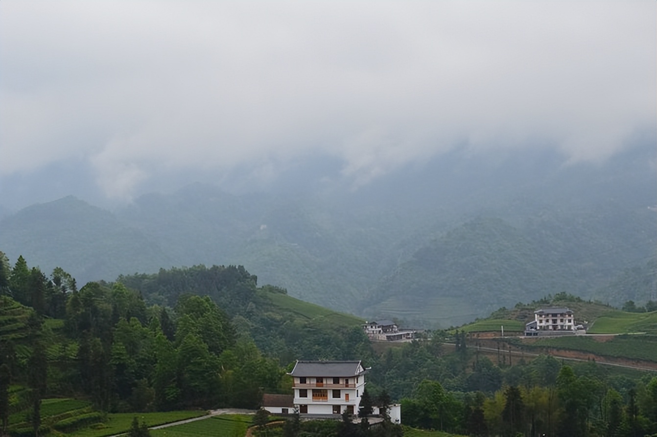 大城武汉,小城恩施——绿油油的伍家台