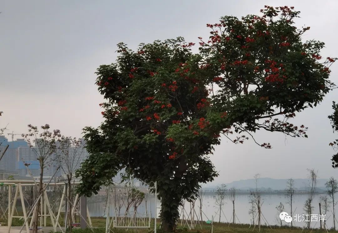 牧童遥指杏花村的遥是什么意思,牧童遥指杏花村书法作品