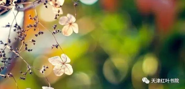 诗有优劣而无古今.贾锡信再谈如何看待诗词韵律