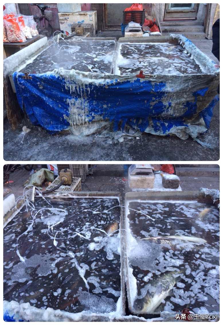 哈尔滨真实故事改编,哈尔滨往事是虚构的吗