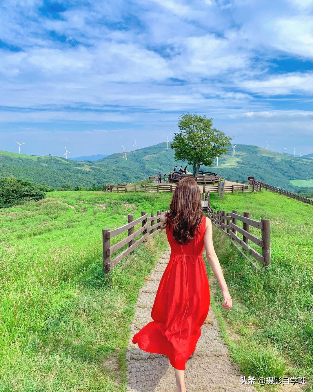 如何拍出春天人像照片好看,春天拍摄人像分享5个摄影技巧