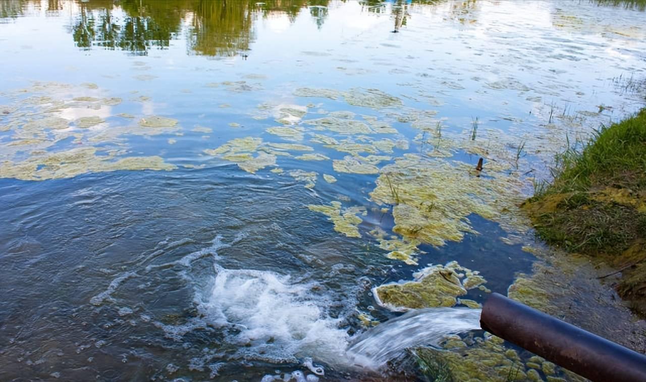 环保壳聚糖基纳米纤维，在处理水污染方面的应用