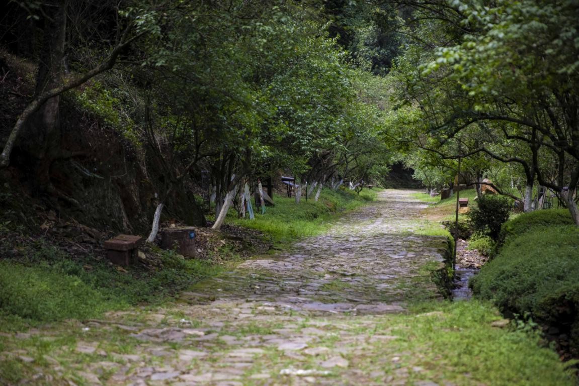 探秘韶关,魅力韶关之旅