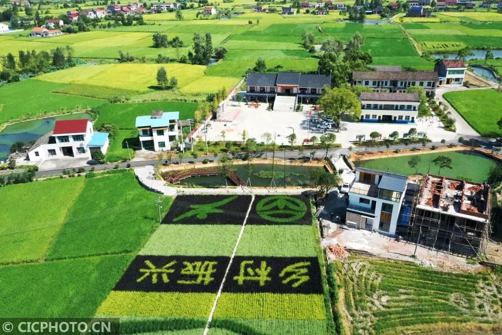 中国的城市化（提高级U2英汉双语）