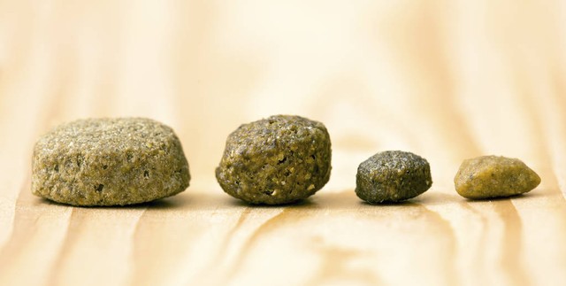 怎么预防儿童积食咳嗽呕吐,1岁4个月宝宝消除积食的最快办法