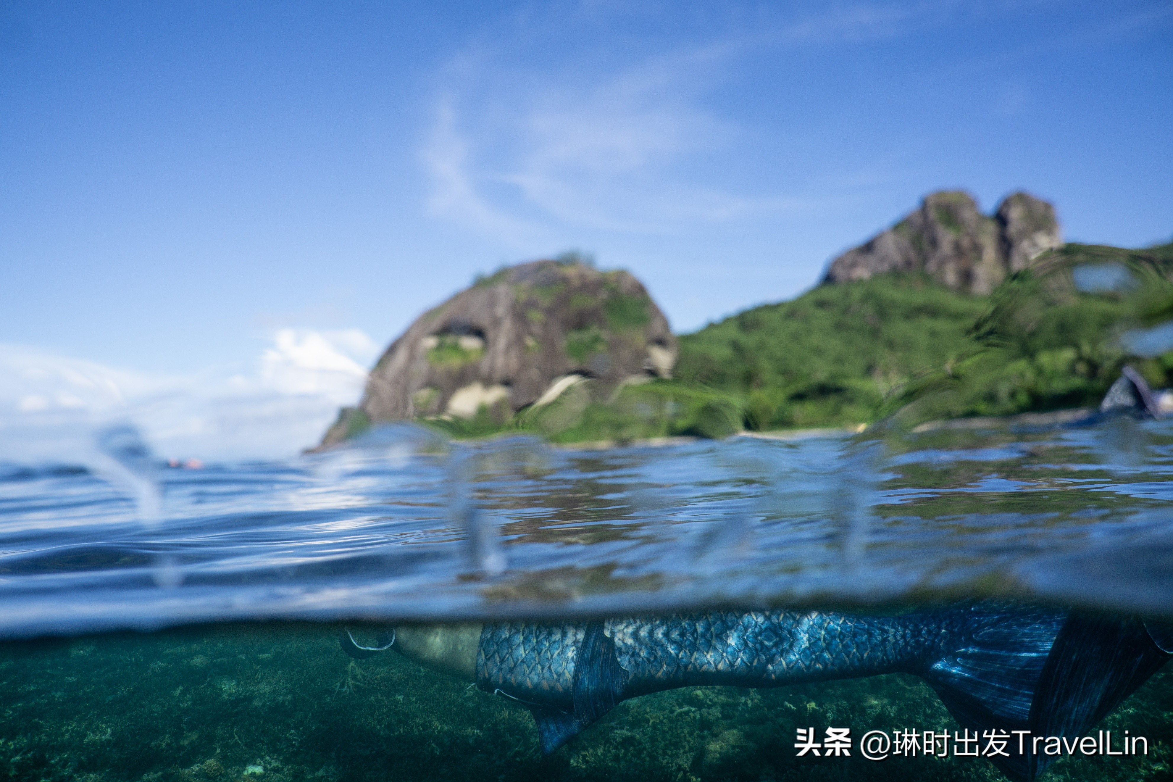 超刺激的海钓视频,超刺激的鲨鱼