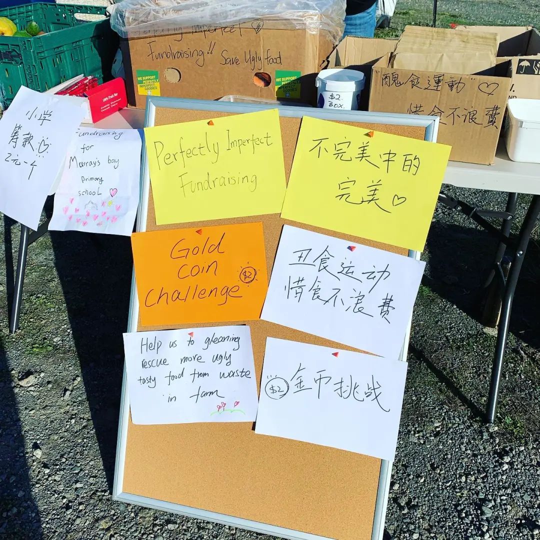 长得丑被抛弃,长得丑被人抛弃