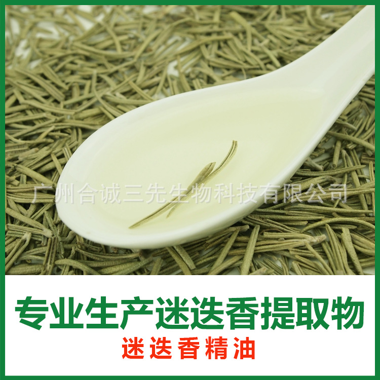 迷迭香的应用领域,迷迭香的产地和传统用途有哪些