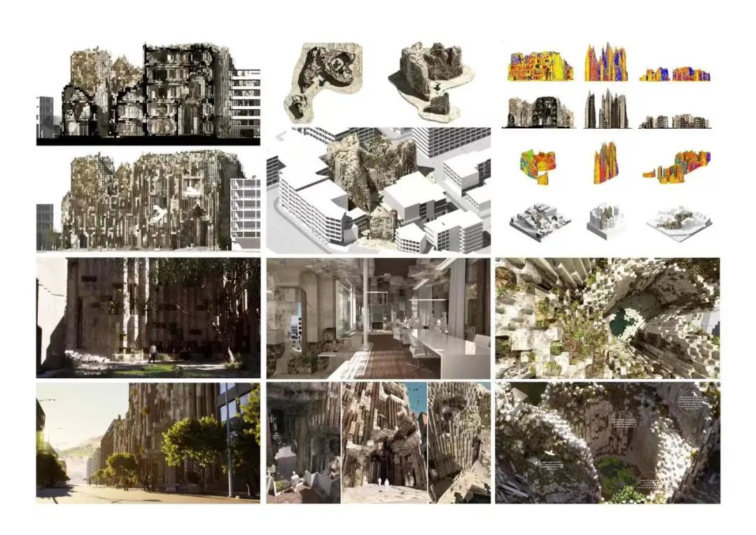 2024霍普杯解读,2016霍普杯解析