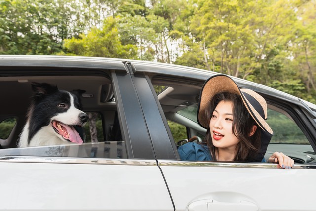 老话出门不需看黄历,俗语出门不碰三子