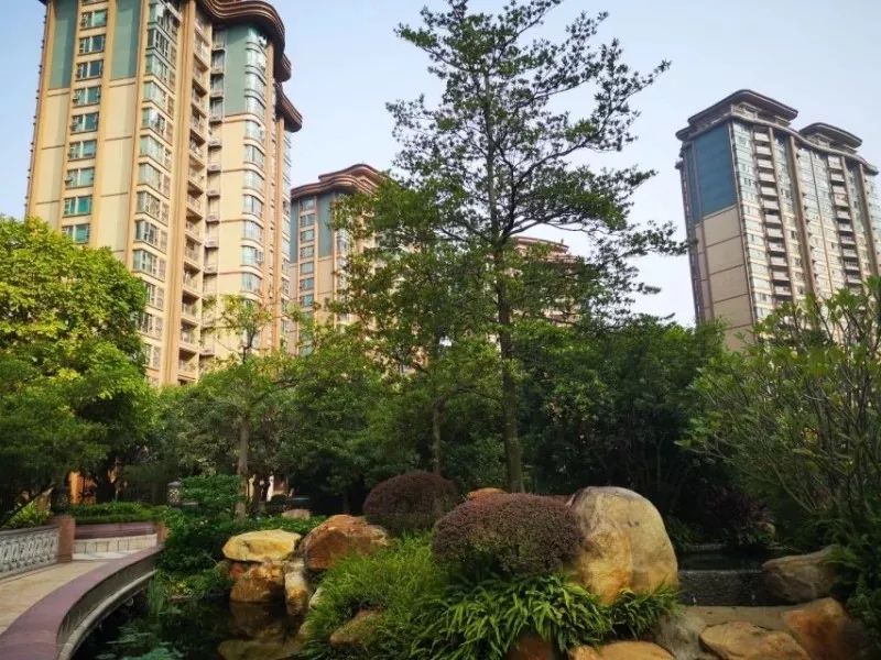 山景房变坟景房可以退房吗,湖景房竟变墓景房