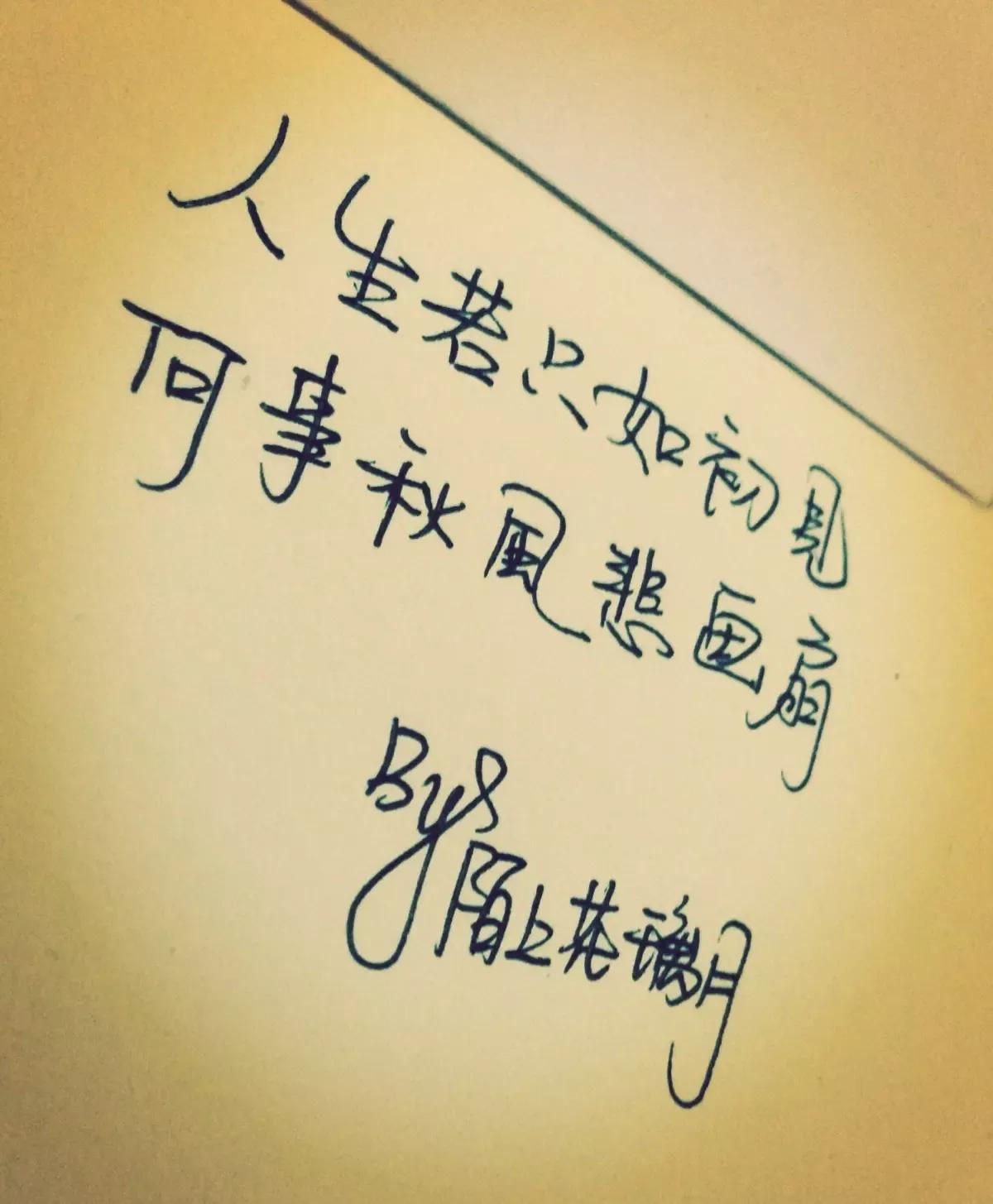 那纷纷扬扬的花瓣犹如万千飞碟，在蓝天下飞扬着翩跹的舞姿