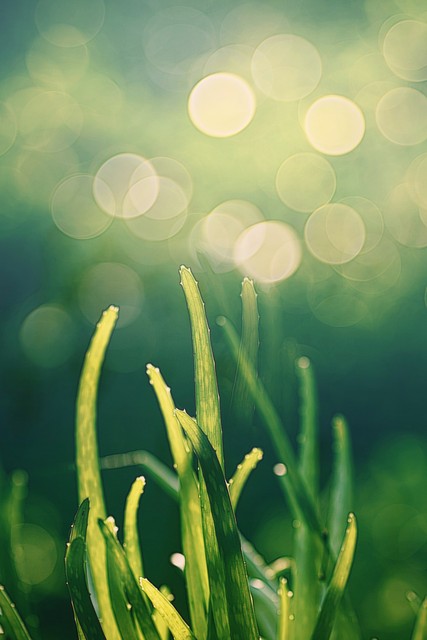 疫情期间去富士康的感受,疫情期间沉浸式感受富士康的生活