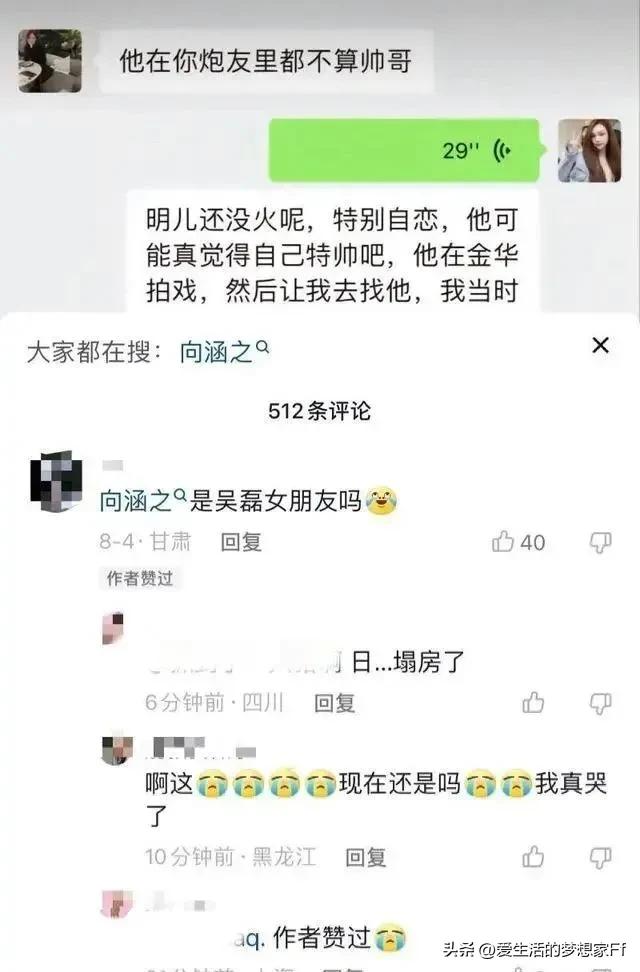 吴磊徐静蕾,吴磊与85年小花的绯闻