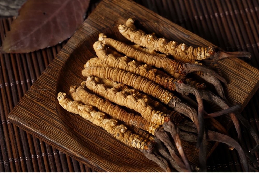 冬虫夏草百药之王,百药之王冬虫夏草