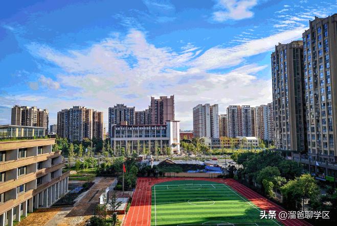 草堂子美,草堂子美怎么样