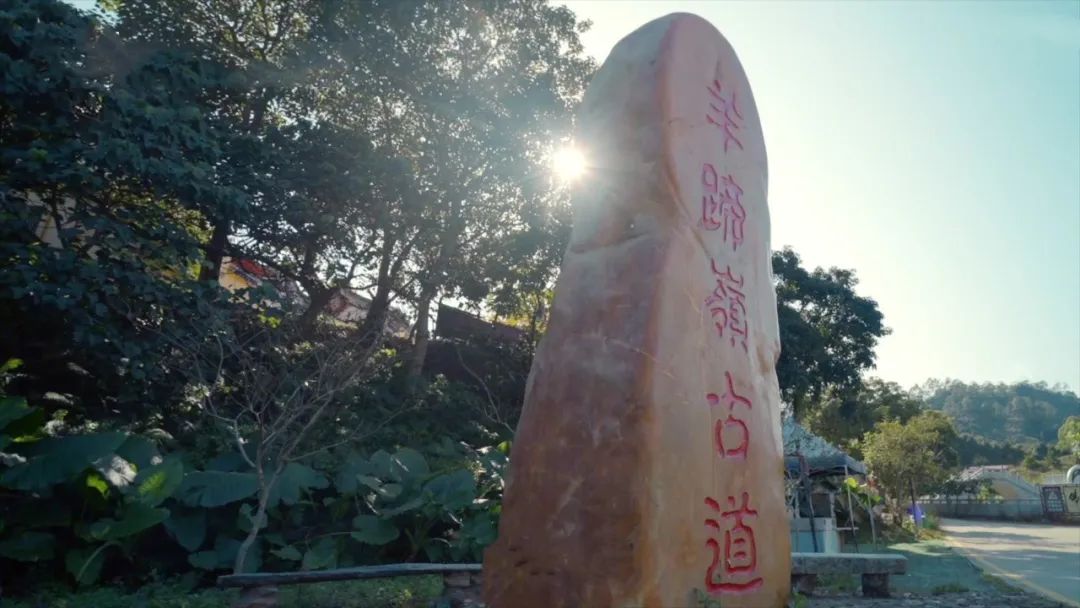 15个打卡景点8条旅游线路！最新五一深汕游攻略，官方推荐！