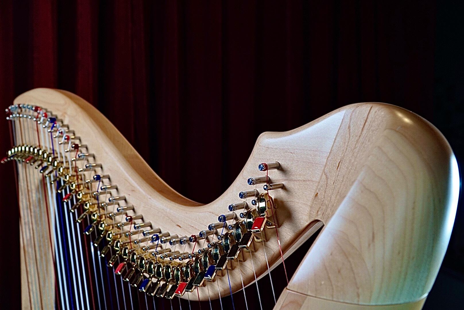 爱尔兰典型的传统乐器是竖琴,爱尔兰古代乐器