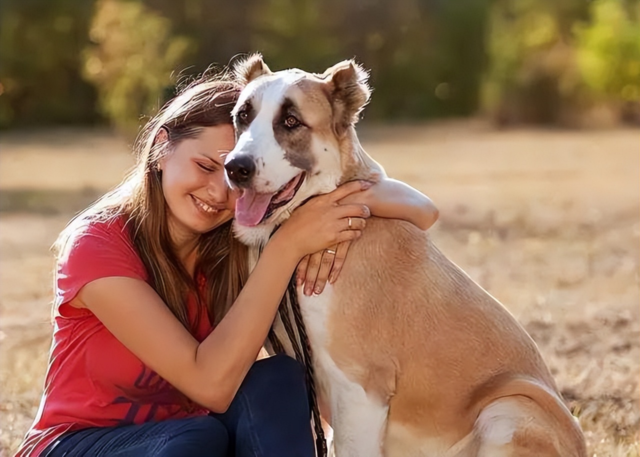 1998年，美国俄亥俄州一大丹狗将主人折磨致死，案件始终未能告破