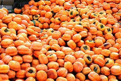 北京特产哪里买正宗又便宜,北京特产带回家必买清单