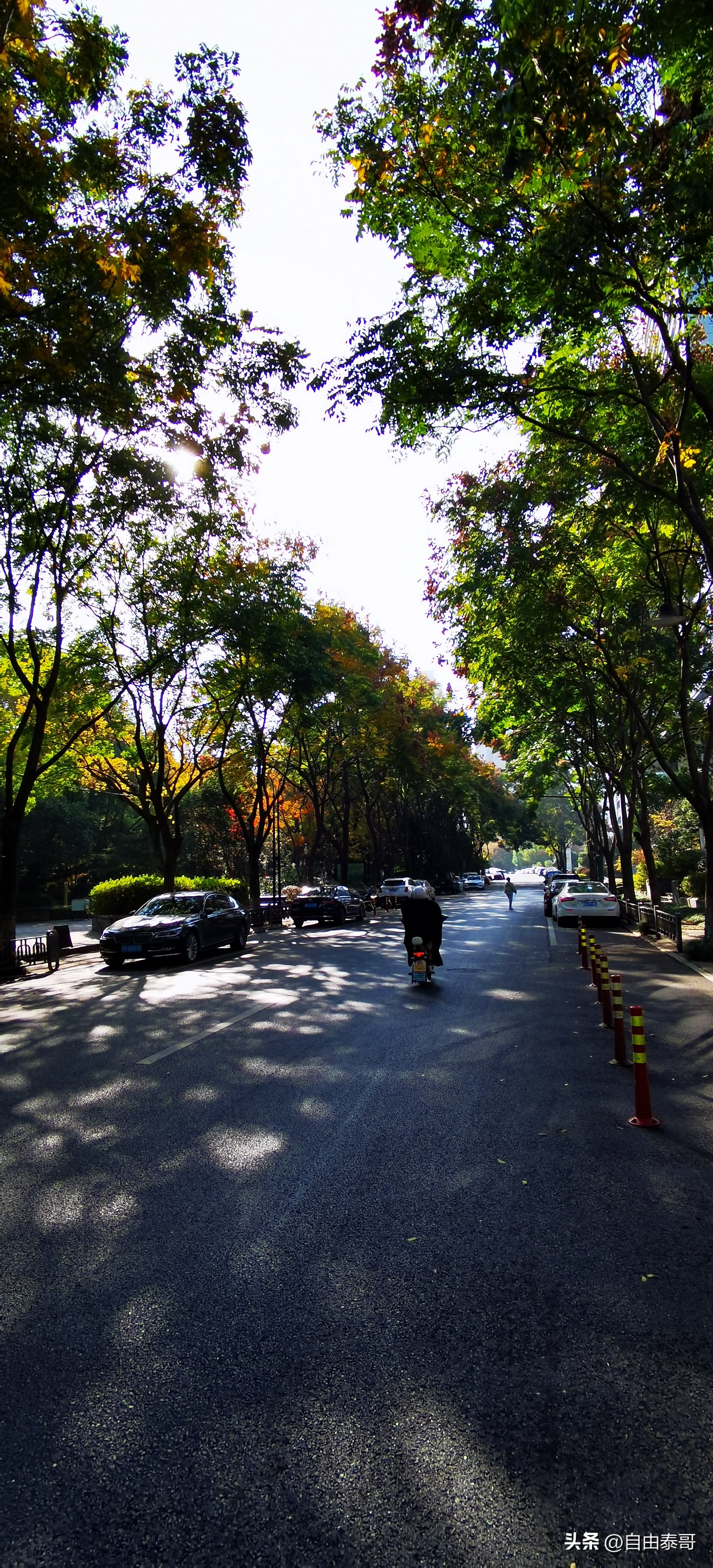 临平最大的亲水公园,临平最好公园排名