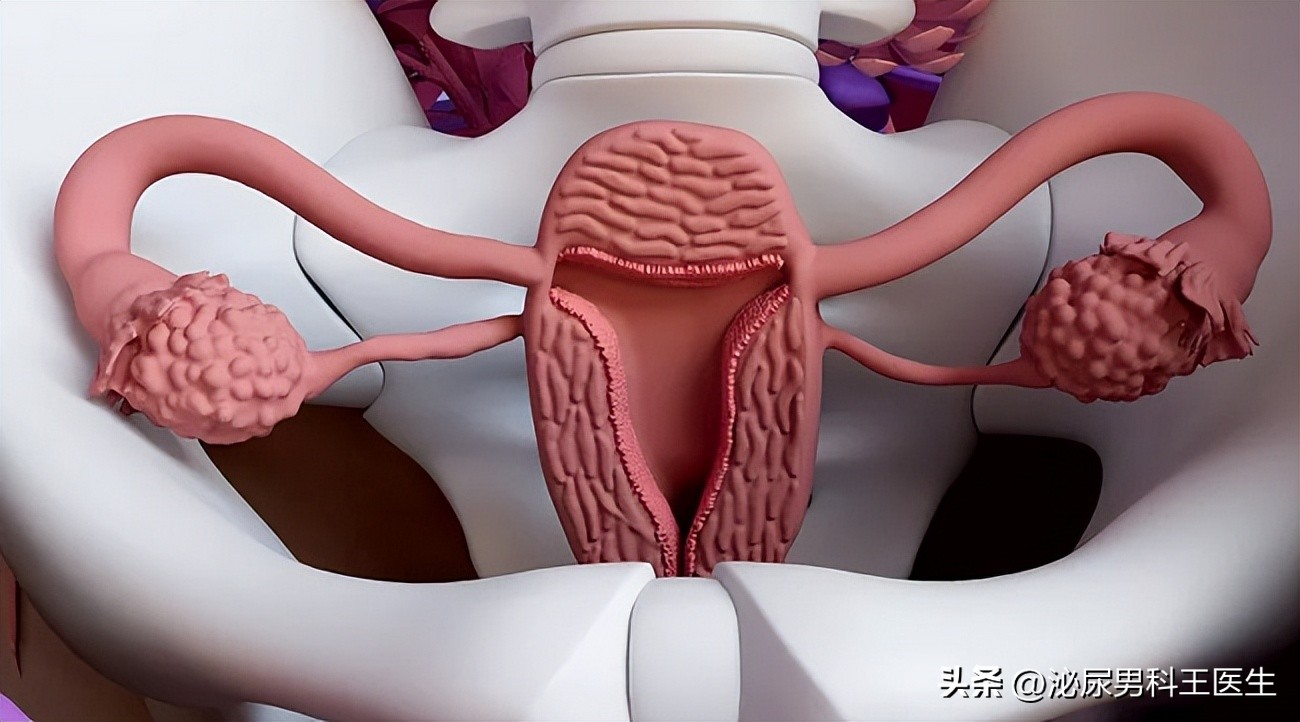 子宫脱垂是什么病？主要原因是什么？