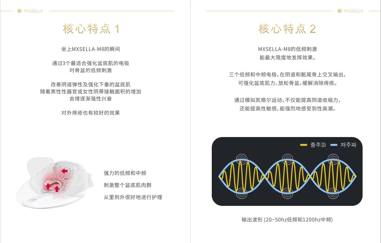 盆底评估示意图,盆底超声和盆底评估