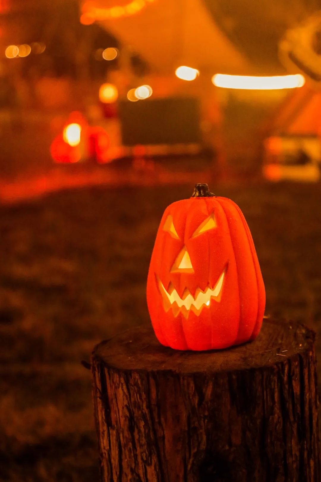 萌宠万圣狂欢夜,萌宠露营云龙区