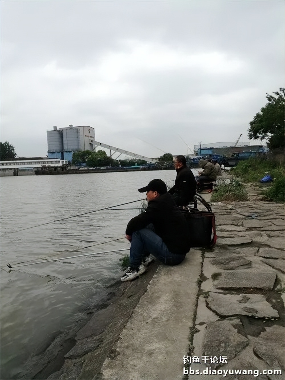 钓鱼王大鲫饵料是什么香味,钓鱼王大鲫和本味有什么区别